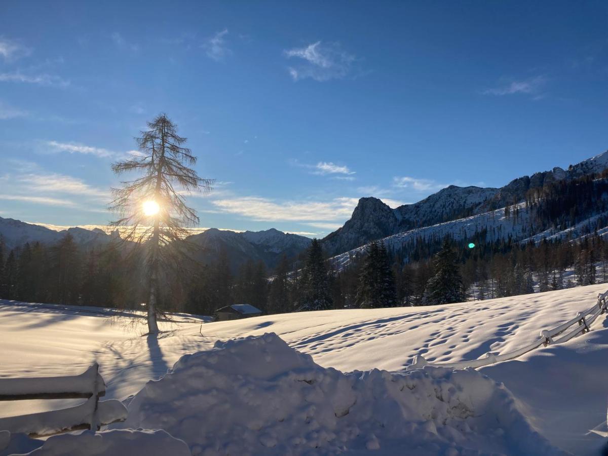 Renoviertes Apartment Mit Terrasse An Der Piste Mit Kostenlosen Wifi Carezza al Lago Eksteriør bilde